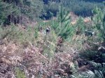 Imagen0559.jpg