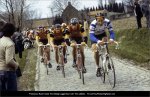 pave-moser.jpg