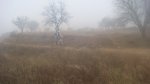 DSC05622.JPG