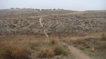 DSC05633.JPG