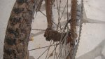 DSC05649.JPG