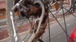 DSC05654.JPG