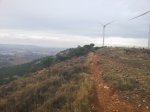 2011-12-10 11.37.43.jpg