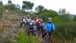 P1000513_800x450.jpg