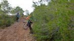 P1000517_800x450.jpg