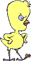 pollos-02.gif