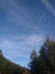 PC081120 (Copiar).JPG
