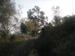 PICT0016 (Copiar).JPG