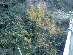 11122011121.jpg