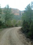 Imagen0741.jpg