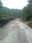 Imagen0748.jpg