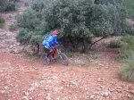 IMG_3378.jpg