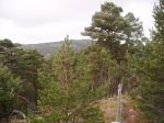DSCF2044.jpg