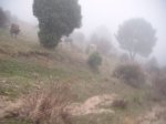 DSCF2056.jpg