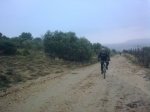 08092008_017.jpg