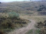 08092008_022.jpg