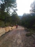 Imagen0764.jpg