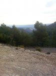 Imagen0765.jpg