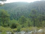 Imagen0766.jpg
