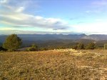 Imagen0770.jpg