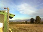 Imagen0771.jpg