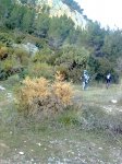 Imagen0777.jpg