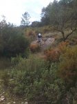 Imagen0782.jpg