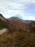 Imagen0783.jpg
