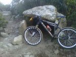 IMG00286-20111211-0942------.JPG