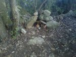 IMG00287-20111211-0943------.JPG