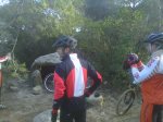 IMG00288-20111211-0943----.JPG