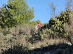 DSC02014.JPG