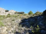 DSC02016.JPG