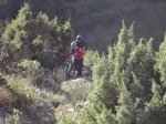 DSC02017.JPG