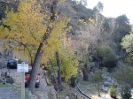 DSC02033.JPG