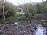DSC04559.JPG