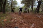11 - dh.jpg