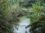IMG_0014.JPG