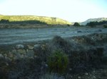 IMG_0015.JPG