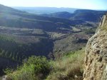 IMG_0029.JPG