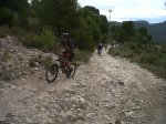 IMG-20111210-00119.jpg