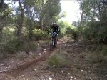 IMG-20111210-00127.jpg