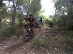 IMG-20111210-00128.jpg