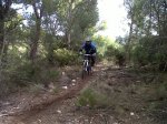 IMG-20111210-00129.jpg