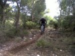 IMG-20111210-00133.jpg