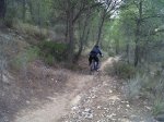 IMG-20111210-00150.jpg