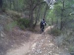 IMG-20111210-00152.jpg