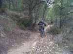 IMG-20111210-00153.jpg