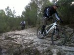 IMG-20111210-00156.jpg