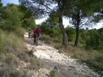 Petrer-20111210-00144.jpg